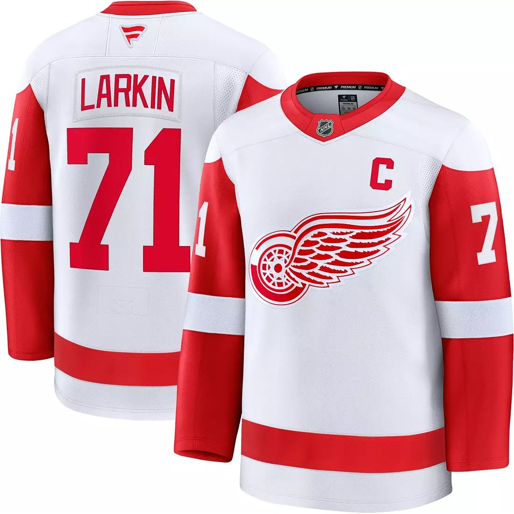 Youth Detroit Red Wings #71 Dylan Larkin White 2024-25 Stitched Jersey
