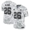 Men's Dallas Cowboys DaRon Bland Arctic Camo 2024 Salute to Service Limited Jersey