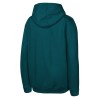 Youth Philadelphia Eagles  Midnight Green Super Bowl LIX Champions Iconic Victory Pullover Hoodie