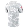 Men's Los Angeles Rams Arctic Camo 2024 Salute To Service Performance T-Shirt