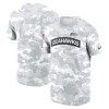Men's Seattle Seahawks Arctic Camo 2024 Salute To Service Performance T-Shirt