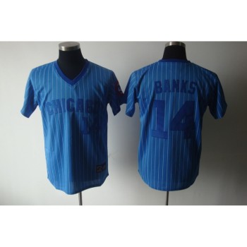 Cubs #14 Ernie Banks Blue White Strip Stitched Cooperstown Throwback MLB Jersey Cubs #14 Ernie Banks Blue White Strip Stitched Cooperstown Throwback MLB Jersey