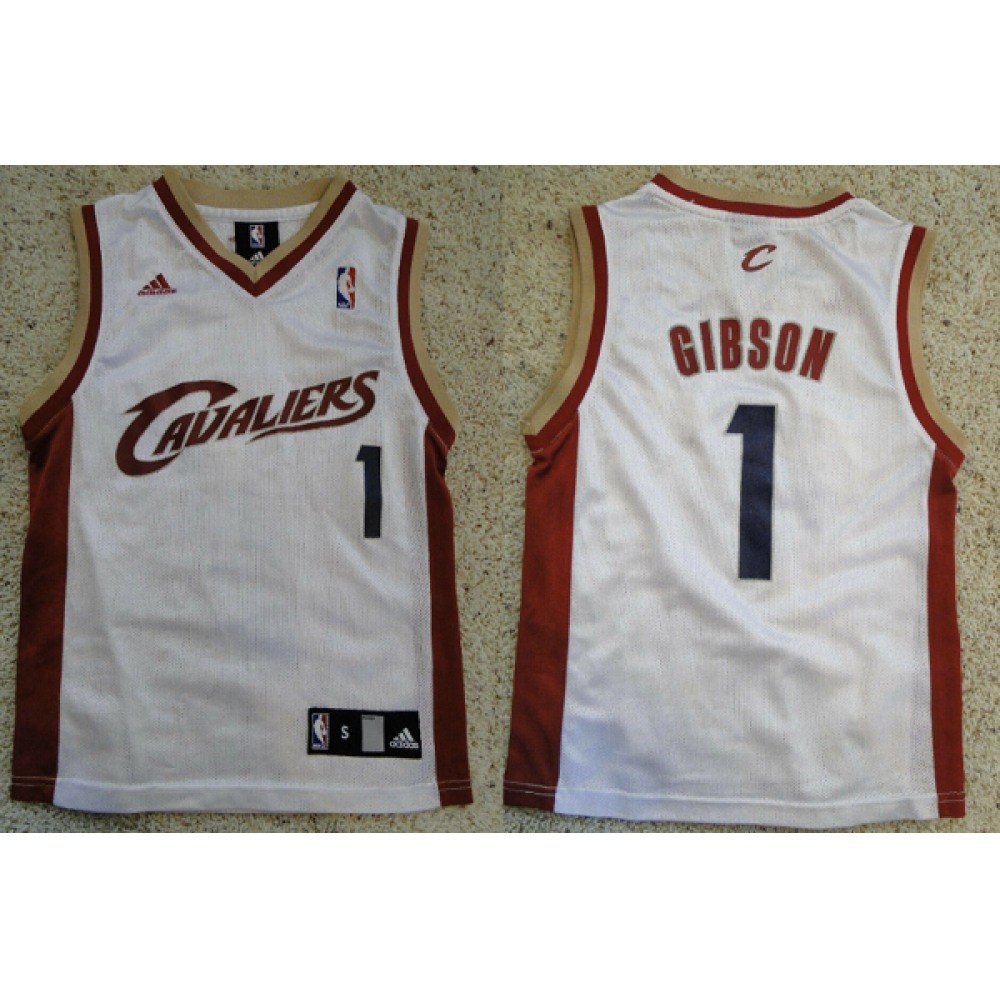 Men's Cleveland Cavaliers #1 Daniel Gibson White Stitched NBA Jersey