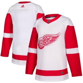 Men's Detroit Red Wings Blank White Stitched Jersey