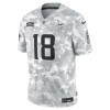 Men's Minnesota Vikings Justin Jefferson Arctic Camo 2024 Salute to Service Limited Jersey