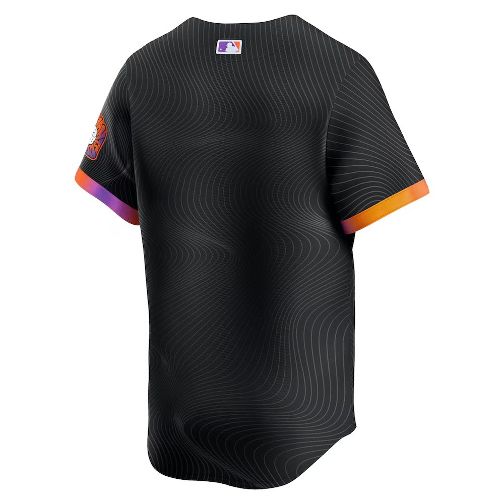 Men's San Francisco Giants Nike Anthracite 2025 City Connect Limited Jersey