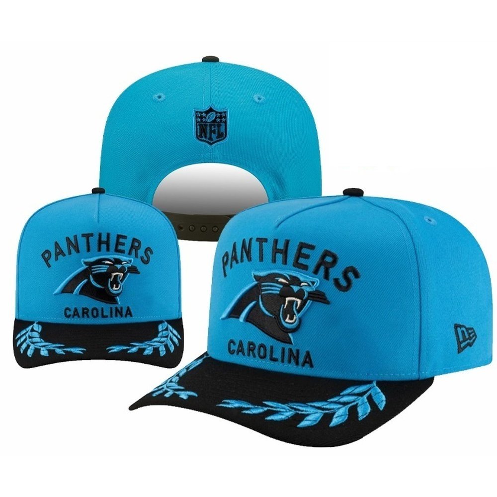 Carolina Panthers Adjustable Hat