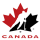 Team Canada
